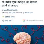 🧠 Нейробиология или курсы «успешного успеха»?