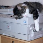 Windows 11 объявляет войну старым принтерам