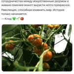 Искусственный интеллект теперь еще и агроном