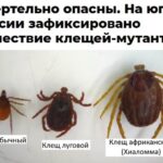Повод для осторожности, а не для паники