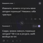 Когда нейросеть объясняет, что такое «ситуация делюкс»