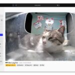 Стримы с умных кормушек — лучший способ легально прокрастинировать на работе