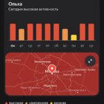 В Москве начался сезон пыльцы — ольха уже «пылит»
