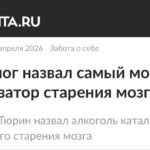 Алкоголь уничтожает мозг в три раза быстрее обычного