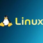 Линус Торвальдс и «мусорный» код — ИИ официально пустили в Linux