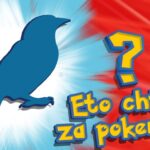 Новый хит для прогулок — Шазам для птиц