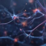 Мозг принял искусственные нейроны за своих