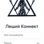 🌐 Дистанционный контроль над домашними роутерами