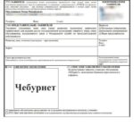 «Чебурнет» из мема превращается в мерч