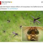 Стерильный десант против тропических лихорадок
