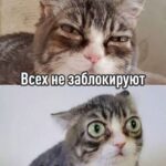 Синхронный удар по инфраструктуре VPN