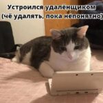 Удаленка разрушает психику и интеллект