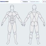 Анатомический гид по тренировкам