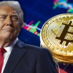 Сторонники Трампа потеряли миллиарды на его крипте