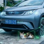 Электромобили BYD научатся спасать кошек под днищем